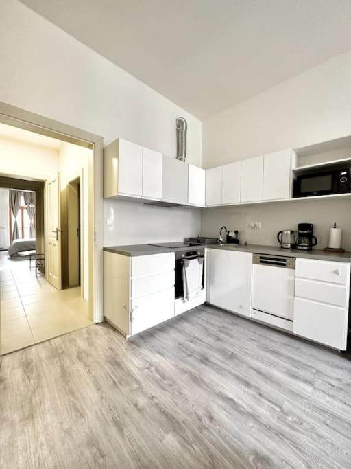 Apartament Flat With Balcony And Garage Praga